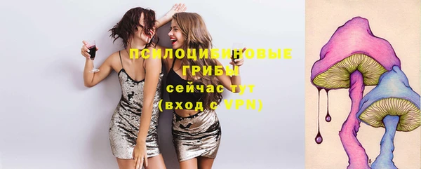 ПСИЛОЦИБИНОВЫЕ ГРИБЫ Алексин