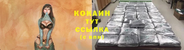ПСИЛОЦИБИНОВЫЕ ГРИБЫ Алексин
