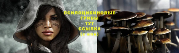 ПСИЛОЦИБИНОВЫЕ ГРИБЫ Алексин