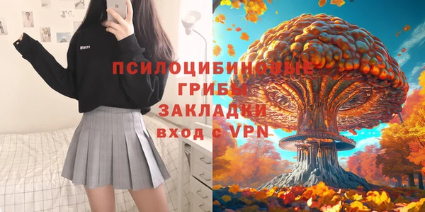 ПСИЛОЦИБИНОВЫЕ ГРИБЫ Алексин