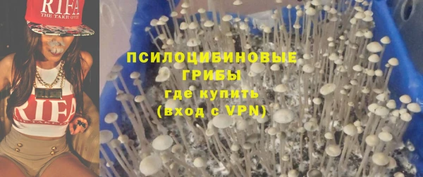 каннабис Алзамай
