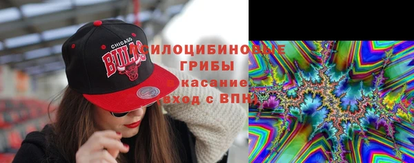ПСИЛОЦИБИНОВЫЕ ГРИБЫ Алексин