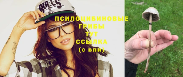 первитин Алексеевка