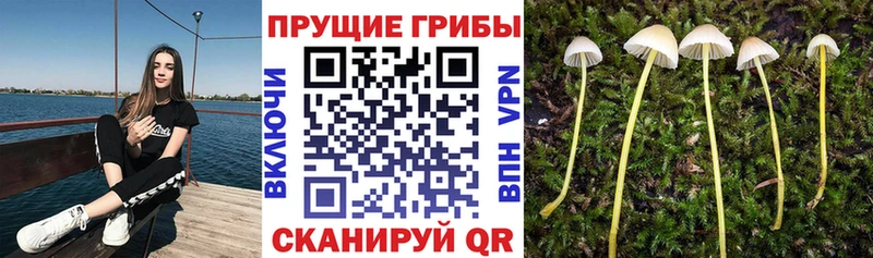 Галлюциногенные грибы MAGIC MUSHROOMS  Пущино 
